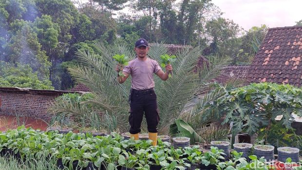 Anggota Polsek Karanganom Klaten, Aipda Agus Wibawa (42) sulap atap rumah jadi kebun.
