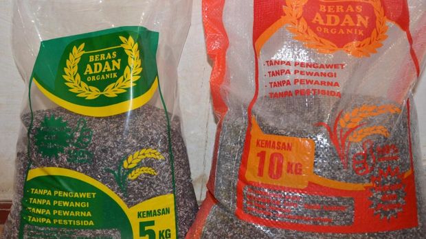Beras adan, primadona pangan dari Kaltara. (Sumber TNKM)