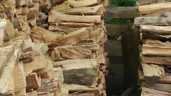 Ada kucing di foto ini, bisa mencarinya? Foto: Boredpanda