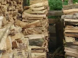 Yakin Bisa? Cari Objek Tersembunyi dalam Foto Kamuflase Tak Terduga Ini