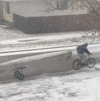 Foto Kamuflase Tak Terduga