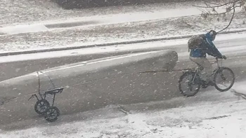 Apakah kamu melihat kayak di foto ini? Foto: Boredpanda