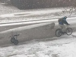 Yakin Bisa? Cari Objek Tersembunyi dalam Foto Kamuflase Tak Terduga Ini