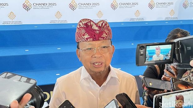 Gubernur Bali Wayan Koster. (Foto: Rizki Setyo/detikBali)