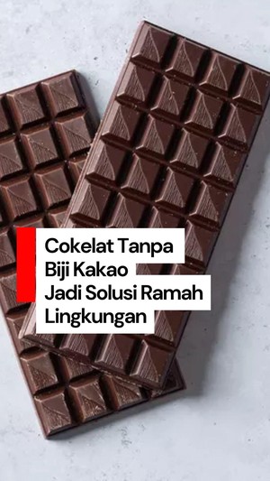 Video: Membuat Cokelat Tanpa Biji Kakao Bisa Jadi Solusi Ramah Lingkungan