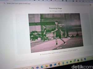 Link dan Cara Edit Foto Profil Warna Pink dan Hijau di Media Sosial