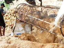 Mentan Klaim RI Bisa Raup Rp 2.400 T dari Hilirisasi Kelapa