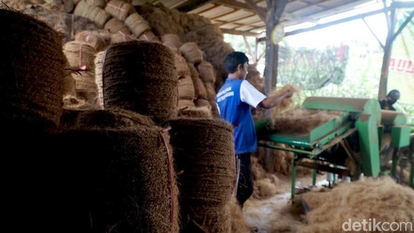 Manfaatkan Limbah Sabut Kelapa untuk Bahan Baku Sapu