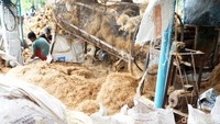 Hasil produksinya terbagi dalam tiga jenis, meliputi bahan baku sapu lantai, tali tampar dan media tanam.