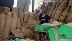 Manfaatkan Limbah Sabut Kelapa untuk Bahan Baku Sapu
