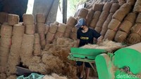 Sabut kelapa yang ia peroleh dari pengepul kemudian diolah menggunakan mesin penyerut.