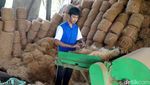 Manfaatkan Limbah Sabut Kelapa untuk Bahan Baku Sapu
