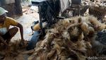 Manfaatkan Limbah Sabut Kelapa untuk Bahan Baku Sapu