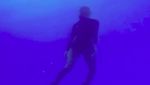 Potret Marion Jola Belajar Freediving Demi Kalahkan Ketakutan