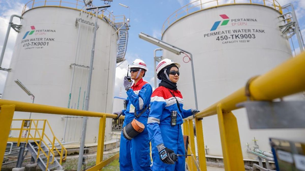 Dominasi PT Pertamina Persero