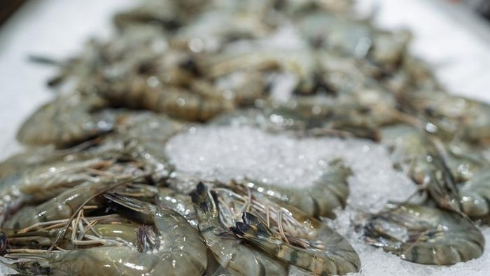 udang