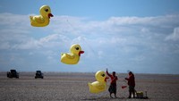 Layang-layang raksasa berbentuk hewan dan karakter unik menarik perhatian penonton di sepanjang pantai. Foto: REUTERS/Phil Noble