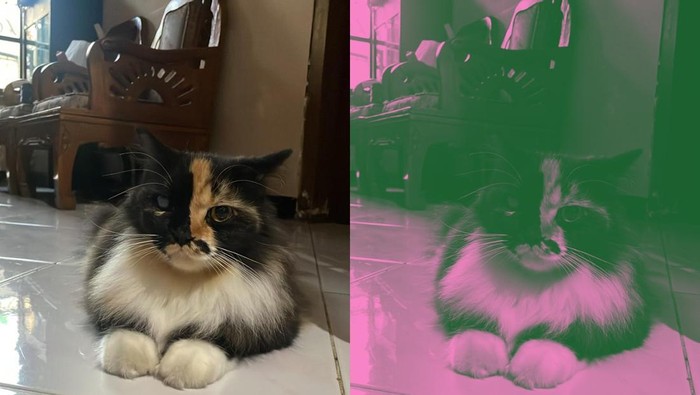 Hasil edit foto jadi Pink Hijau mengikuti Tren Brave Pink Hero Green.