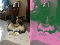 Link Brave Pink Hero Green untuk Edit Foto Jadi Merah Muda Hijau