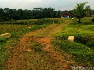 Lika-liku Perjuangan Warga Kadaleman Menuntut Jalan Desa yang Mulus