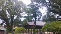 Karena Tenmangu adalah kuil ilmu pengetahuan, para pengunjung datang untuk berdoa agar berhasil dalam ujian dan harapan akademik lainnya. Pengunjung dapat menerima berkah, berdoa, membeli amulet, dan mengamati tradisi Shinto. Foto: Novia Aisyah/detikcom