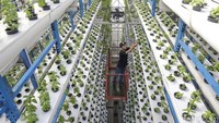 Ladang Farm mengusung konsep pertanian vertikal dengan metode hidroponik setinggi 18 meter. Berdiri di atas lahan 18x18 meter persegi, dengan jumlah 12 tower, pertanian vertikal tersebut mampu menghasilkan hingga 2 ton sayuran segar setiap bulannya.