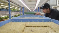 Inovasi ini memperlihatkan bagaimana teknologi pertanian bisa berjalan berdampingan dengan prinsip berkelanjutan. Selain menjaga ketahanan pangan lokal, Ladang Farm juga membuka peluang kerja di sektor pertanian modern.  