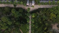 Pemandangan drone menunjukkan sebagian Kebun Raya (Jardim Botanico), tempat beberapa hewan yang diselamatkan oleh Instituto Vida Livre dilepaskan. Foto: REUTERS/Pilar Olivares