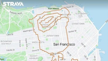 Bunga mawar. Foto: Instagram/@lennymaughan