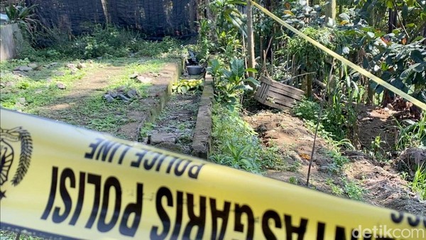 Foto Ladang Ganja yang Ditemukan di Blitar Dipasang Garis Polisi