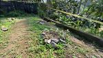 Foto Ladang Ganja yang Ditemukan di Blitar Dipasang Garis Polisi