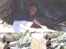 Sujady Jagal Kucing Hebohkan Sumsel, Jual Daging Meong ke Warga