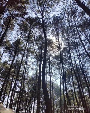 Kemping Seru Akhir Pekan Bareng Teman di Bogor