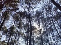 Kemping Seru Akhir Pekan Bareng Teman di Bogor