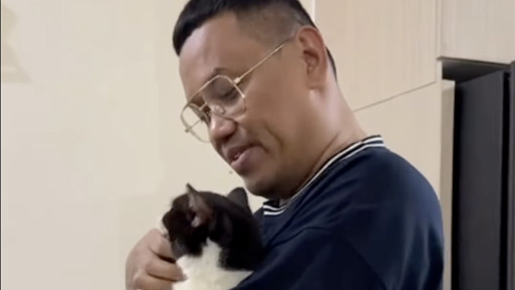 Video: Kabar dari Uya Kuya Terkait Kucing-kucingnya