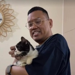 Sherina Selamatkan Kucing Uya Kuya, Kini Masuk Daftar Saksi Kasus Penjarahan