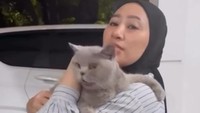 Alhamdulillah, kita sudah selamatkan Miku jam 12 malam di daerah Klender, jelas salah satu penyelamat kucing Uya Kuya. Foto: dok instagram Uya Kuya