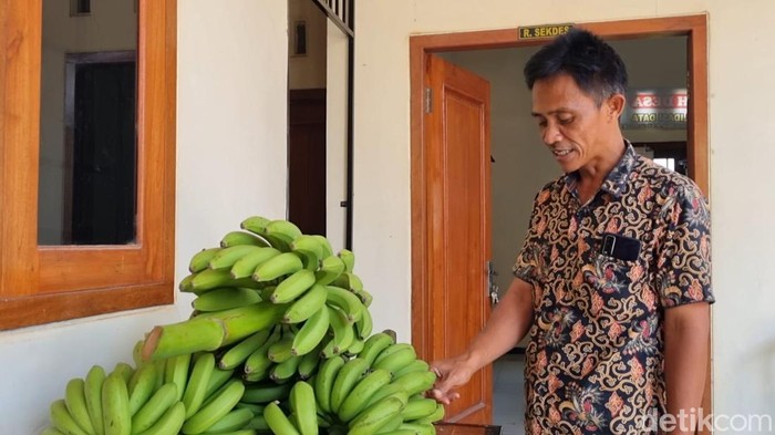 Warga Ponorogo bayar PBB pakai pisang