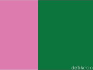 Akar Sejarah Brave Pink dan Hero Green, Dari Pink Job Barat dan Folklor Indonesia