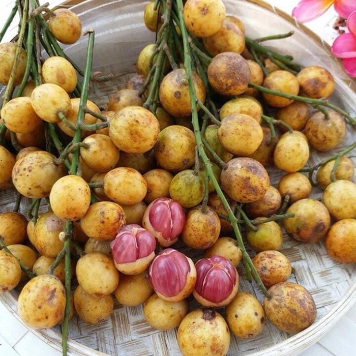 buah langka Indonesia
