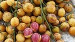 10 Buah Unik di Indonesia yang Termasuk Langka