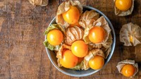 Ciplukan, jenis buah yang tumbuh liar di Indonesia. Bisa ditemui di jalanan maupun perkebunan, tapi sulit didapatkan. Buah ini memiliki lapisan kelopak seperti daun, rasanya manis agak kecut dan teksturnya mirip tomat. Foto: istock