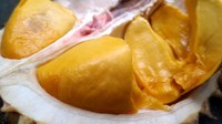Buah Lai juga termasuk yang unik. Rupanya mirip sekali durian, tapi warna daging buahnya lebih ke oranye juga ada yang merah. Meski mirip, tapi ada perbedaan dengan durian, yaitu aromanya tidak begitu menyengat, daging buahnya kering, dan rasanya manis hambar. Foto: istock