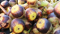 Lontar atau biasa disebut siwalan merupakan buah yang mirip dengan kelapa. Mulai dari tempurung buah hingga tekstur daging buahnya. Hanya saja pohon buah ini mirip dengan palem. Foto: istock