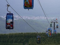 Video: Kereta Gantung di Italia Ini Bukan Bawa Wisatawan, Tapi...