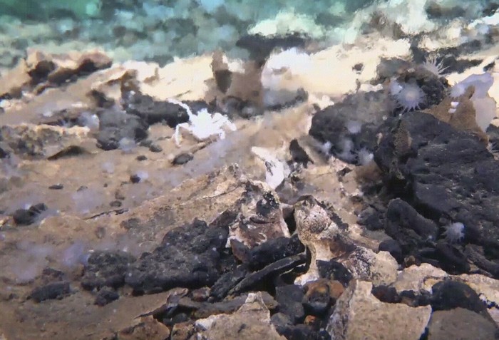 Kawah dasar laut