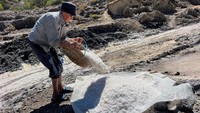 Seorang petani mengemas garam hasil panen tradisional, yang dipercaya memiliki manfaat tak hanya untuk konsumsi, tapi juga kesehatan. Foto: REUTERS/Abdelaziz Boumzar