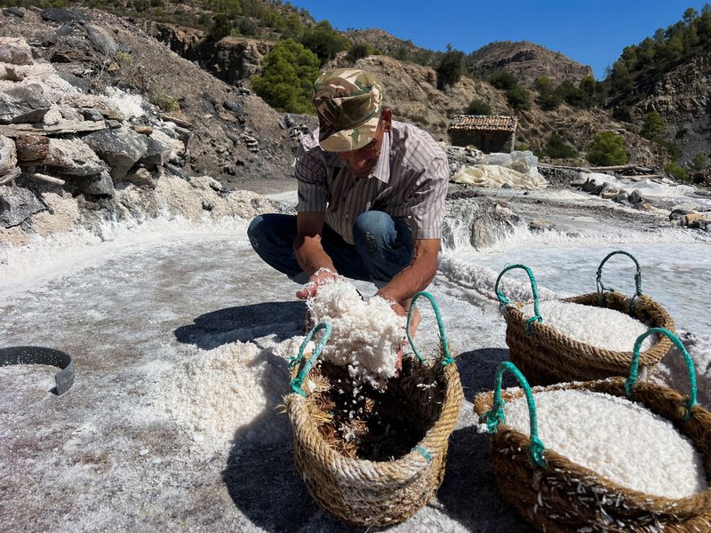 Melihat Tradisi Panen Garam Berusia Ratusan Tahun di Aljazair Mouhouche Oulha, 63, an Algerian salt farmer works at the village of Belayel, as they preserve a centuries-old tradition of hand-harvesting salt from a natural high-altitude lake, in Bejaia, in the Kabyle mountains of northeastern Algeria, August 30, 2025. REUTERS/Abdelaziz Boumzar TPX IMAGES OF THE DAY