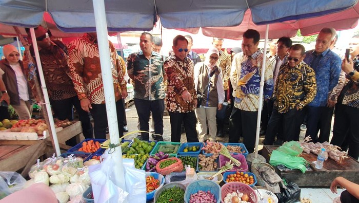 Mendagri dan Mentan tinjau Pasar Km 5 Palembang.