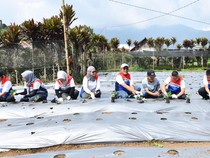 Pertamina Berdayakan Desa Rantau Dedap Lewat Energi Bersih-Wisata Edukasi